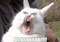 Avatar de DickMacPoneyJr