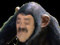 DidierHyperU