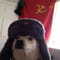 Avatar de Dog_de_Staline