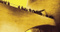 Avatar de DontHoldBack