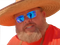 Avatar de DonutFretillant