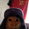 Avatar de Elwi