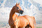 Avatar de EtalonModeste