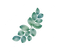 Avatar de eucalyptus2025