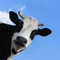 Avatar de Eussoudore70