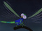 Avatar de Evinerude19