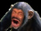 Avatar de ExpertEnSinges8