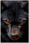 Avatar de falmix