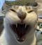 Avatar de felin-tarax