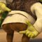 Avatar de Fion2Shrek
