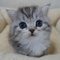 Avatar de fourchette