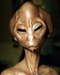 Avatar de foutredeasgard