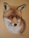 Avatar de foxy-fox