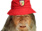 Avatar de Gandalf-l-aigri