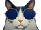 Avatar de GattarsisArm