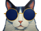 Avatar de GattarsisAsk