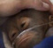 Avatar de Glosador1