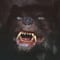 Avatar de Gmorkromg