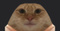 Avatar de Gobeelo_Piece