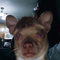 Avatar de GoslingEnjoyer