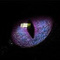 Avatar de GoyCroustillant