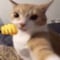 Avatar de gruigruik666