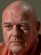 Hank-Shrader