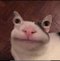 Avatar de haseunha