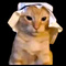 Avatar de hkvvk
