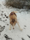 Avatar de Huskien