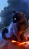 Avatar de IittleChatNoir