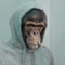 Avatar de Iomepal