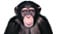 Avatar de Jean-Monkey