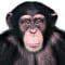 Avatar de JeanMouloud4000