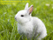 Avatar de JeuneRiche__