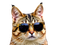 Avatar de k0nar20