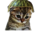 Avatar de Kermsoup