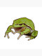 Avatar de killerfrog2