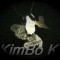 KimBo-972