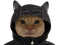 Avatar de LeChaddufofo13