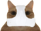 Avatar de Lefirst_