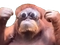 Avatar de LeMonke53