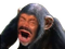 Avatar de LeRoiMacaque