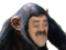 Avatar de Macaque_risible