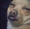 Avatar de MacaroniTime16