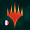 Profil de MagicArena, Jeuxvideo.com