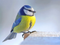 Avatar de Mesange_Bleue