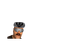 Avatar de MINIPELO