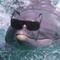 Avatar de mm3duse