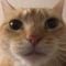 Avatar de Nanome86